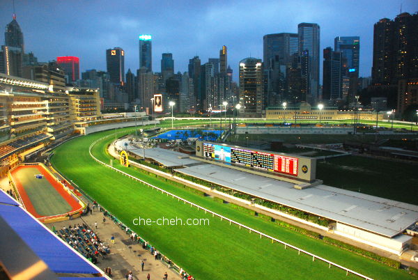 View Of The Racecourse & Parade Ring From 6th Floor @ Happy Valley Racecourse, Hong Kong
